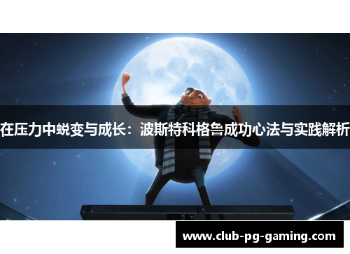 在压力中蜕变与成长：波斯特科格鲁成功心法与实践解析