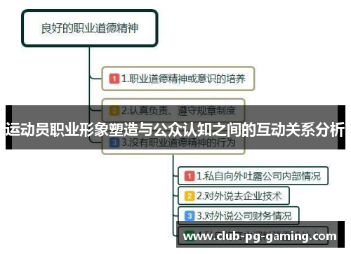 运动员职业形象塑造与公众认知之间的互动关系分析
