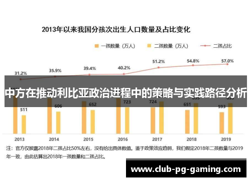 中方在推动利比亚政治进程中的策略与实践路径分析