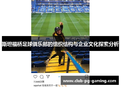斯坦福桥足球俱乐部的组织结构与企业文化探索分析