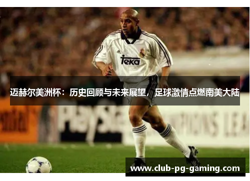 迈赫尔美洲杯:历史回顾与未来展望,足球激情点燃南美大陆 迈赫尔美洲杯:历史回顾与未来展望,足球激情点燃南美大陆