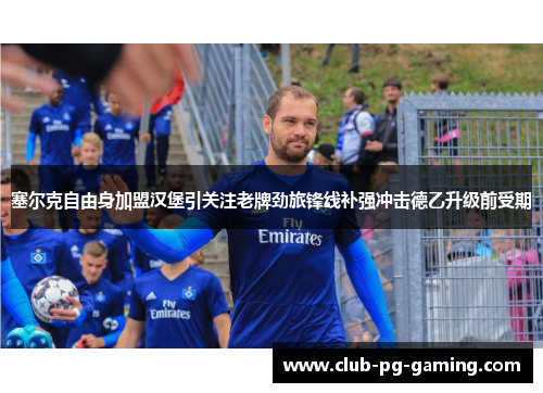 塞尔克自由身加盟汉堡引关注老牌劲旅锋线补强冲击德乙升级前受期